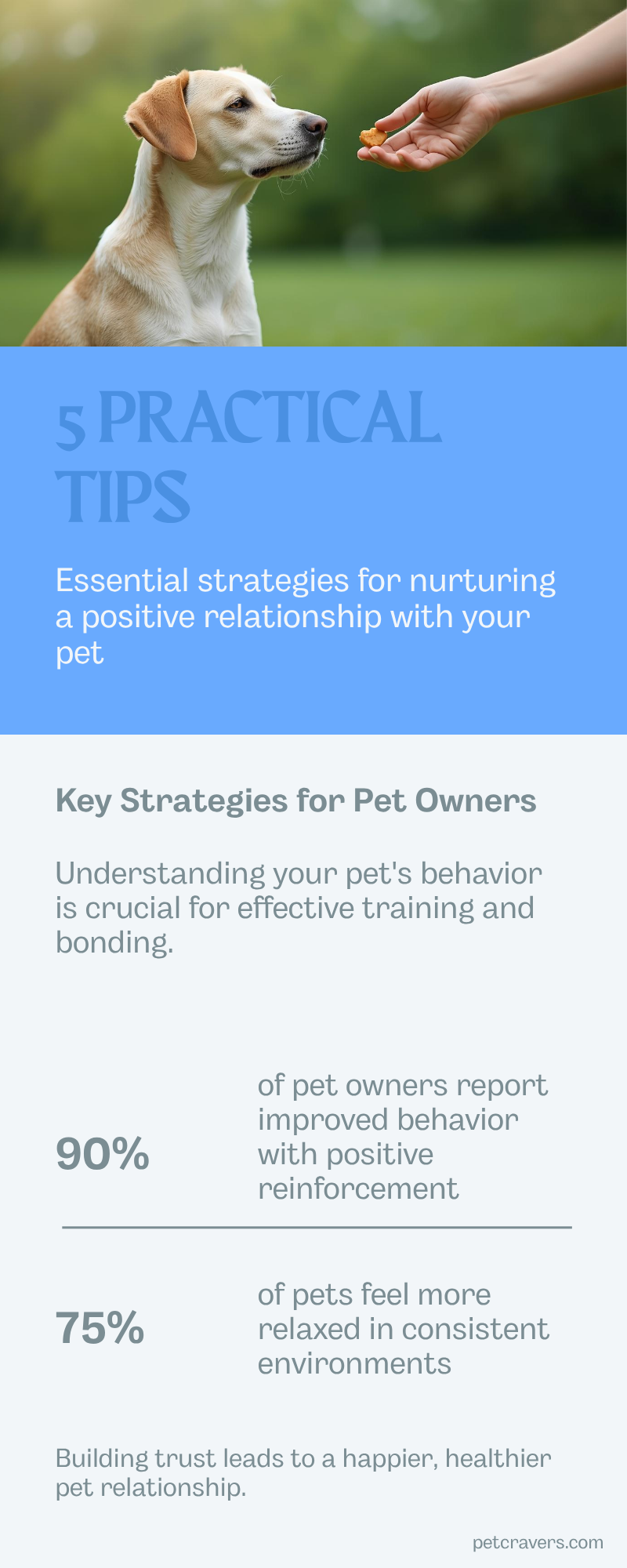 5 Practical Tips for Owners