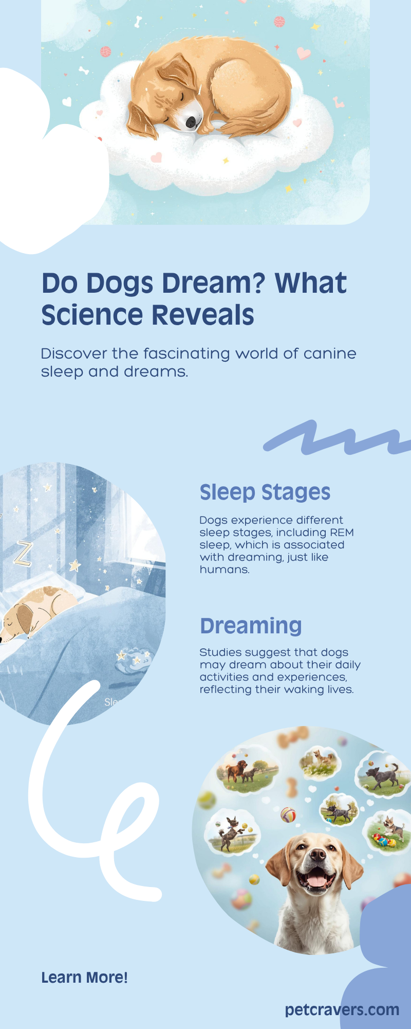 Do Dogs Dream 💤: What Science Reveals About Your Pup’s Sleep