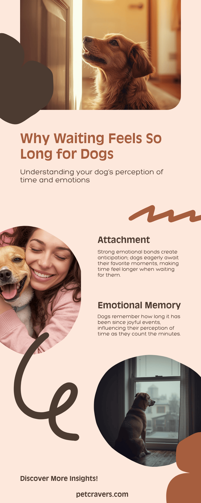 Emotions and Time Why Waiting Feels So Long