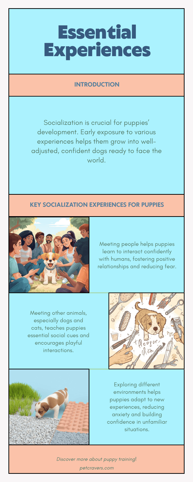Essential Socialization Experiences for Puppies