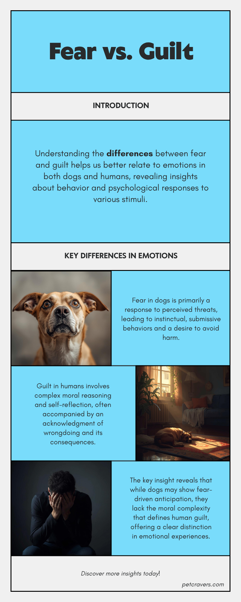 Fear vs. Guilt — The Real Difference