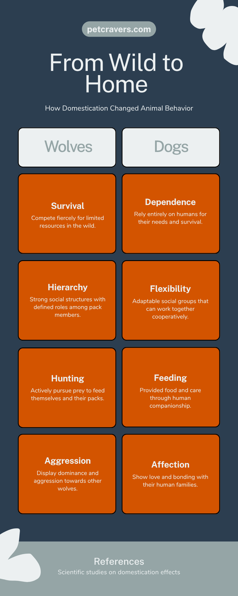 From Wild to Home How Domestication Changed Behavior