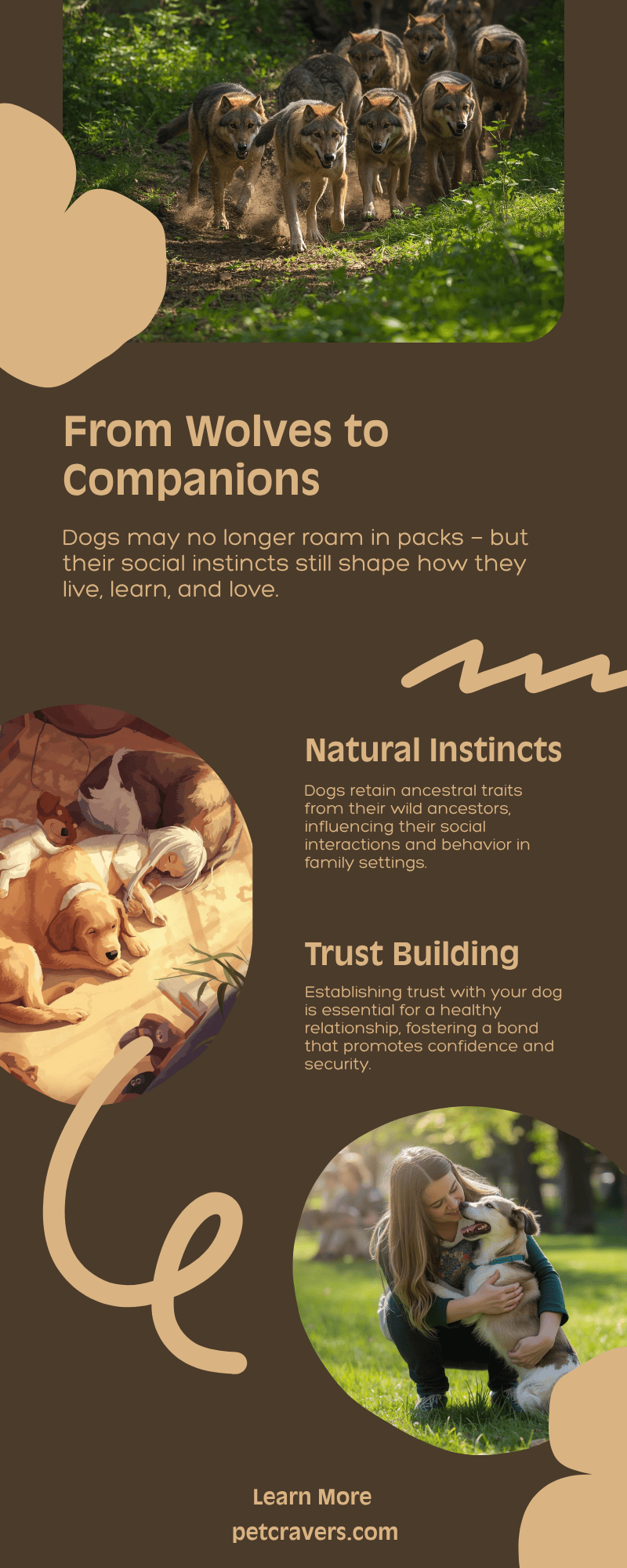 From Wolves to Companions What We’ve Learned