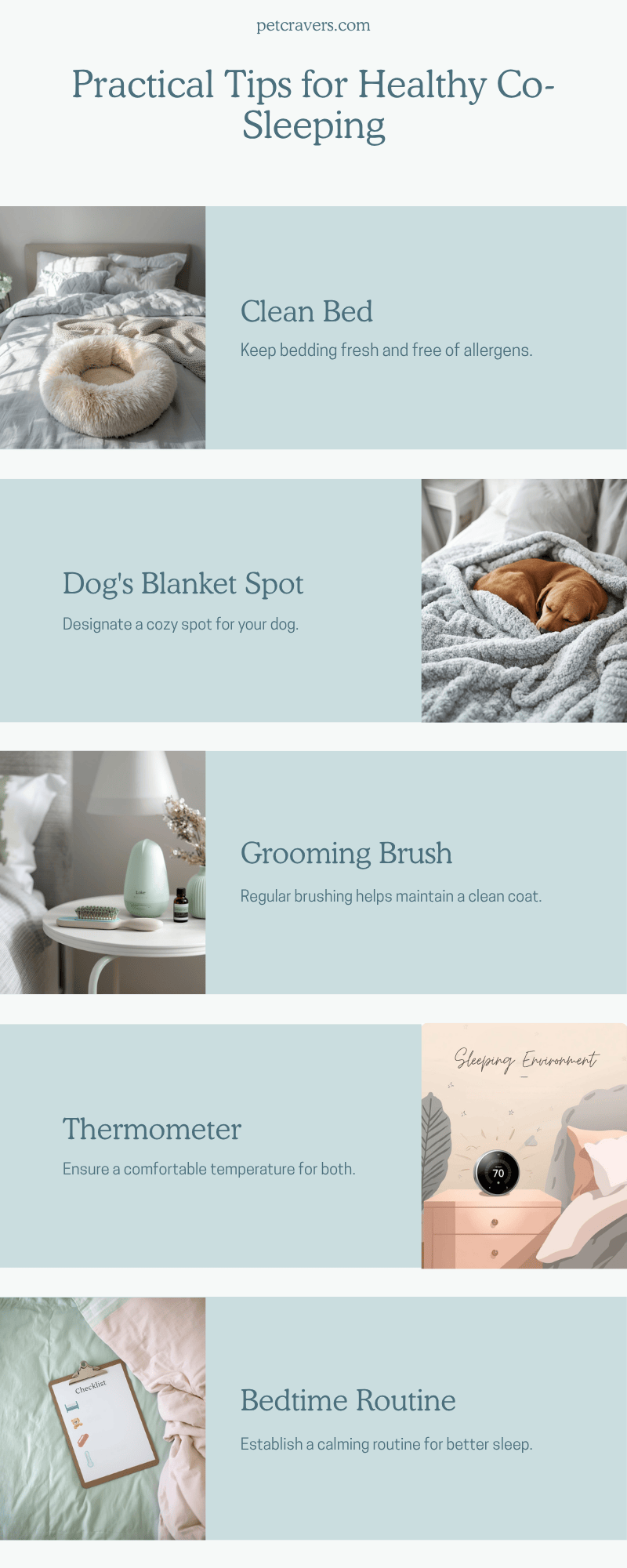 Healthy Co-Sleeping Tips for You and Your Dog