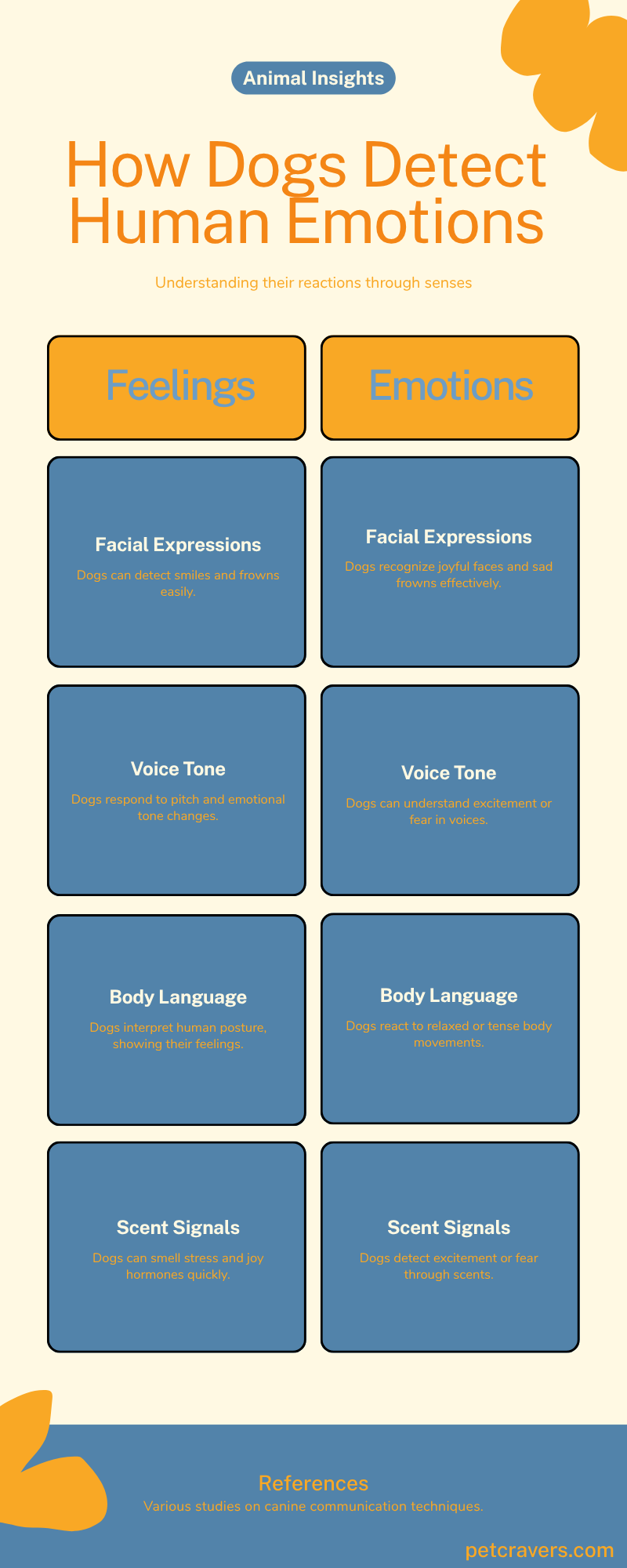 How Dogs Detect Human Emotions