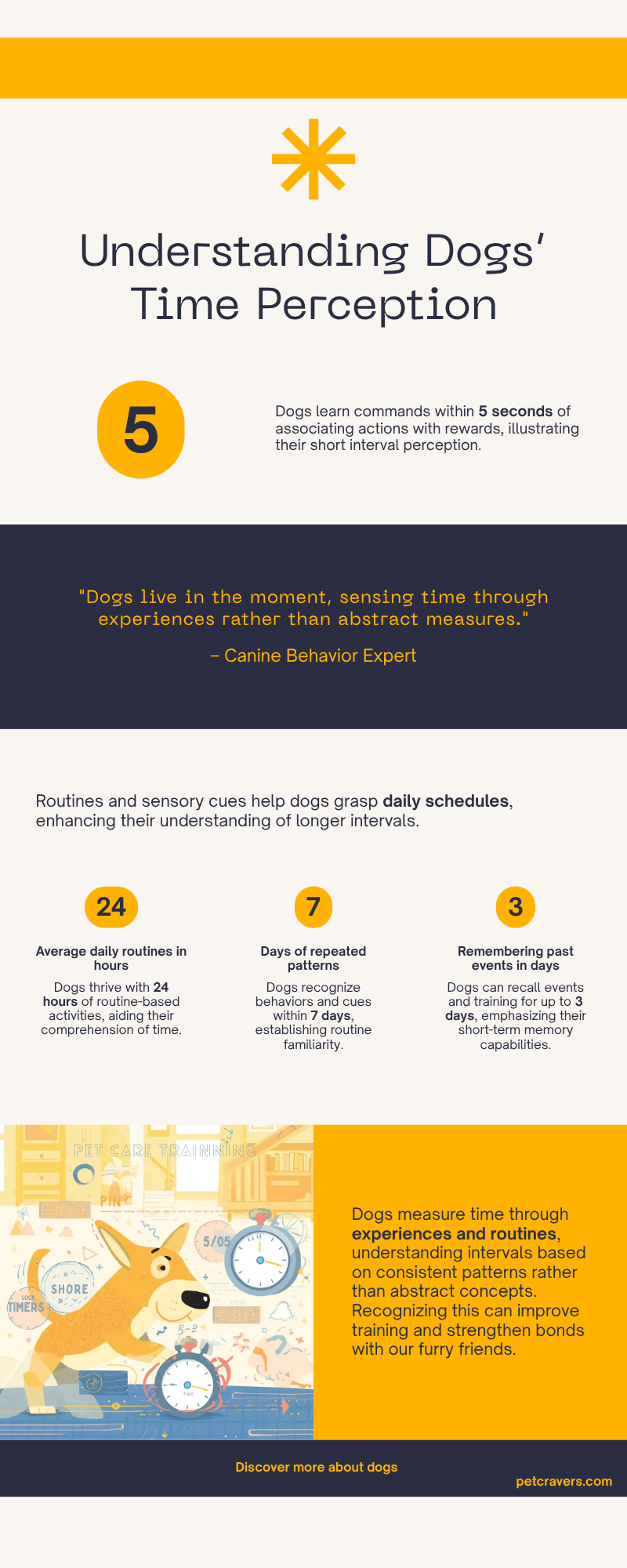 How Dogs Measure Short vs. Long Intervals