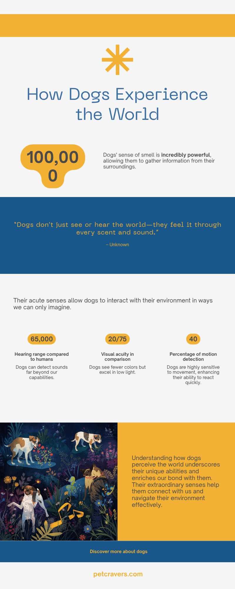 How Dogs Perceive the World