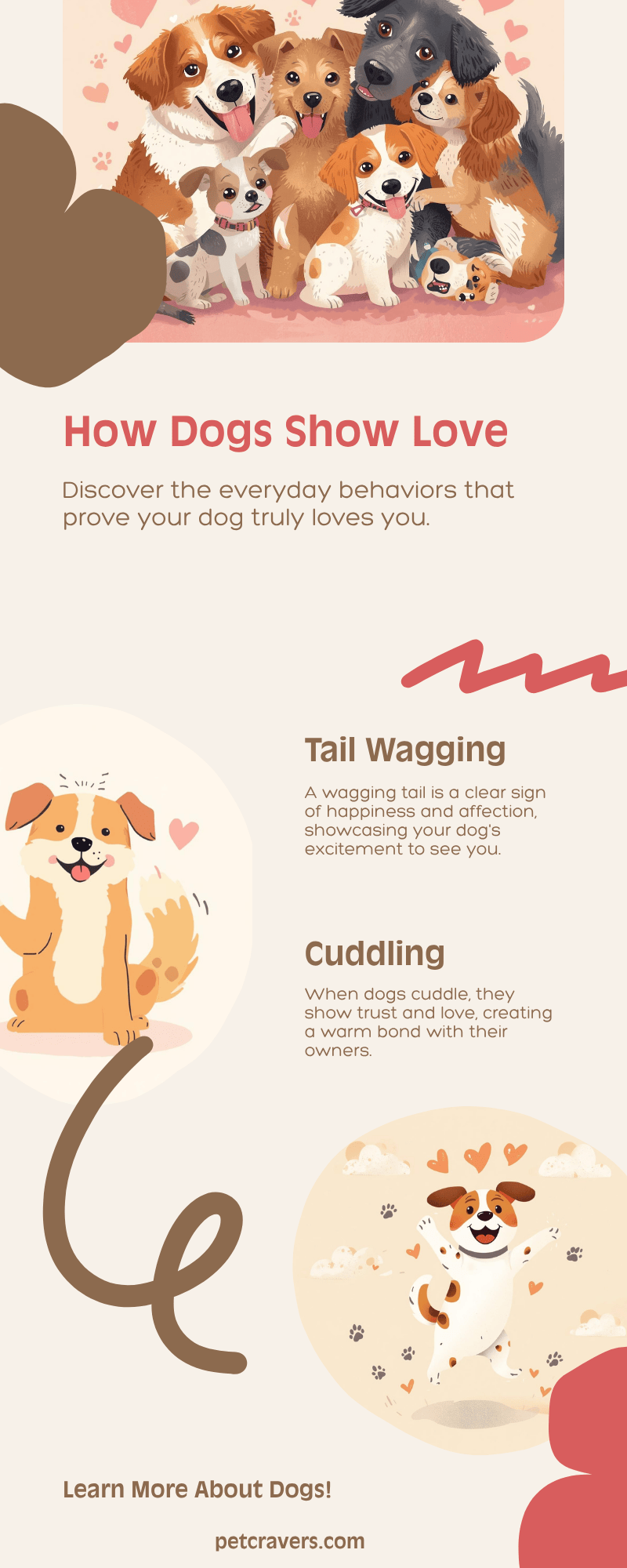 How Dogs Show Love Behavioral Signs of Affection