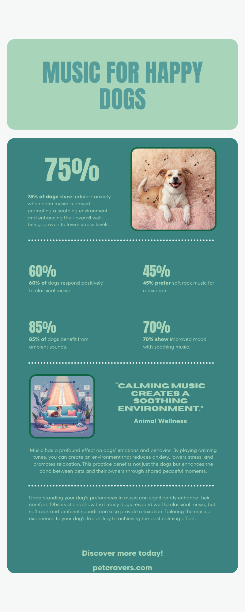 How Music Calms Your Dog