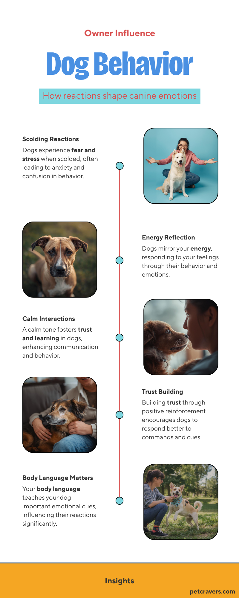 How Owner Reactions Shape Behavior