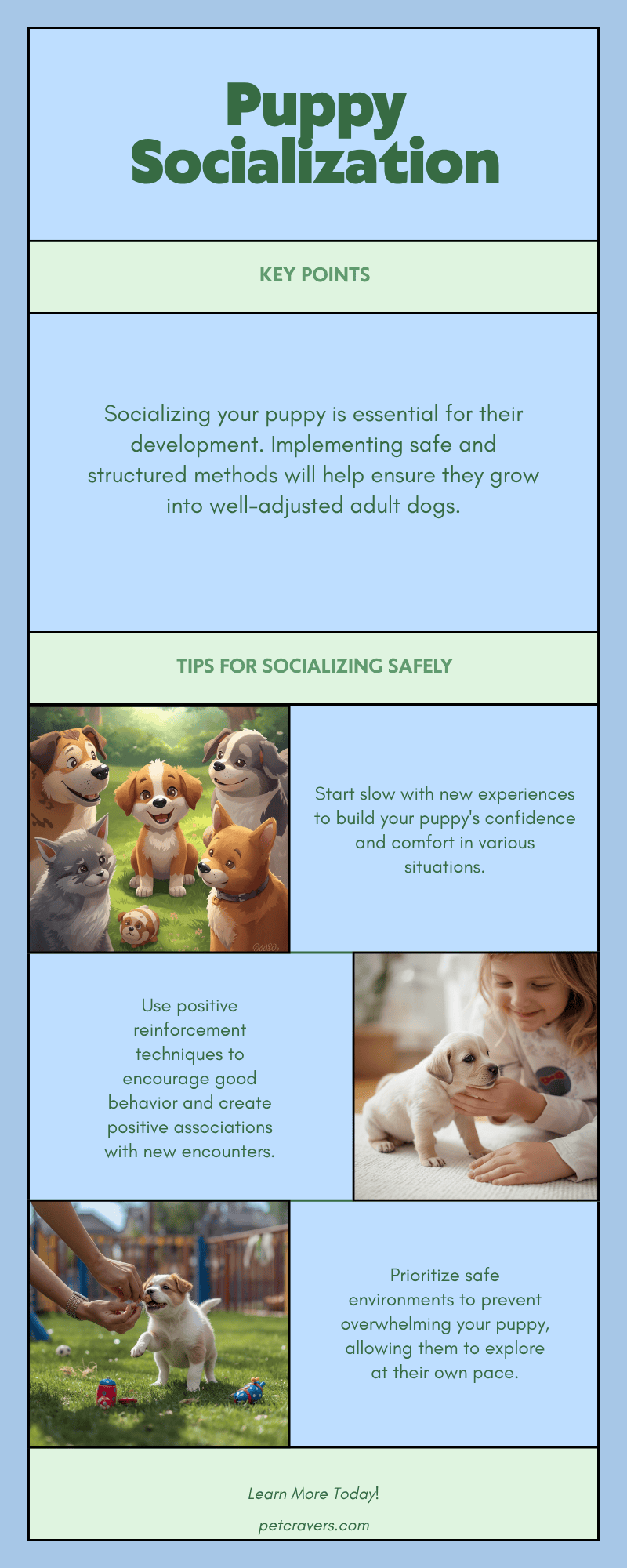 How to Safely Socialize Your Puppy