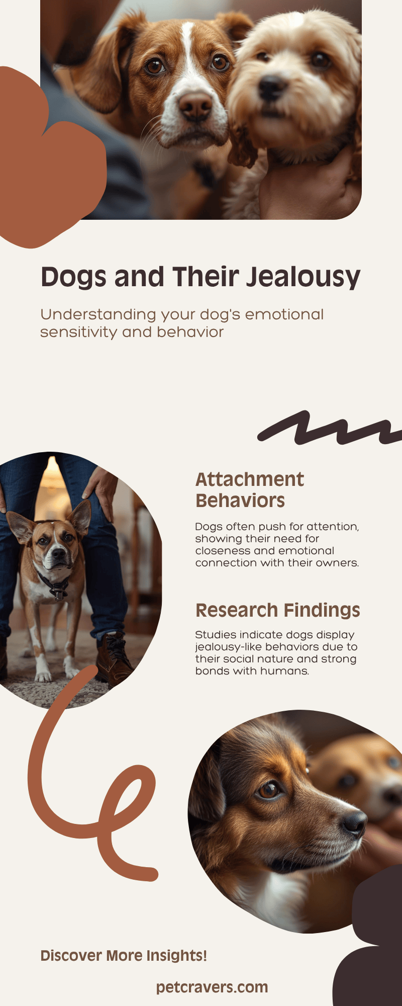 Intro — The Green-Eyed Pup