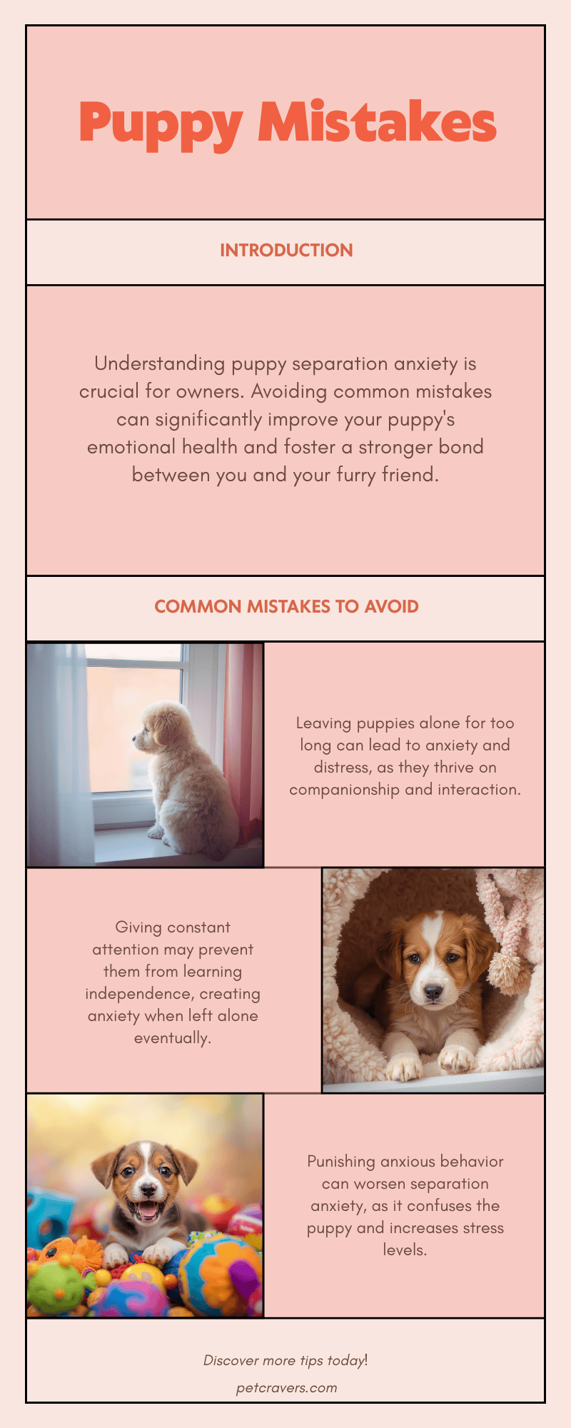 Mistakes That Can Cause Puppy Separation Anxiety