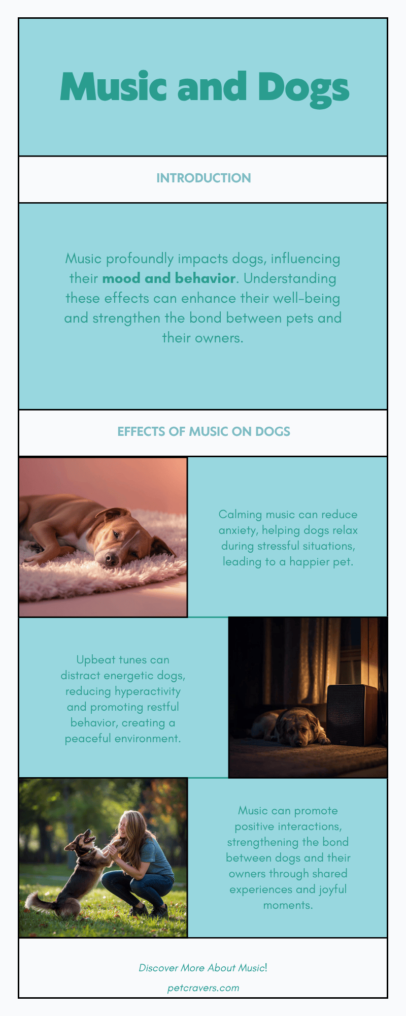 Music and Dog Behavior