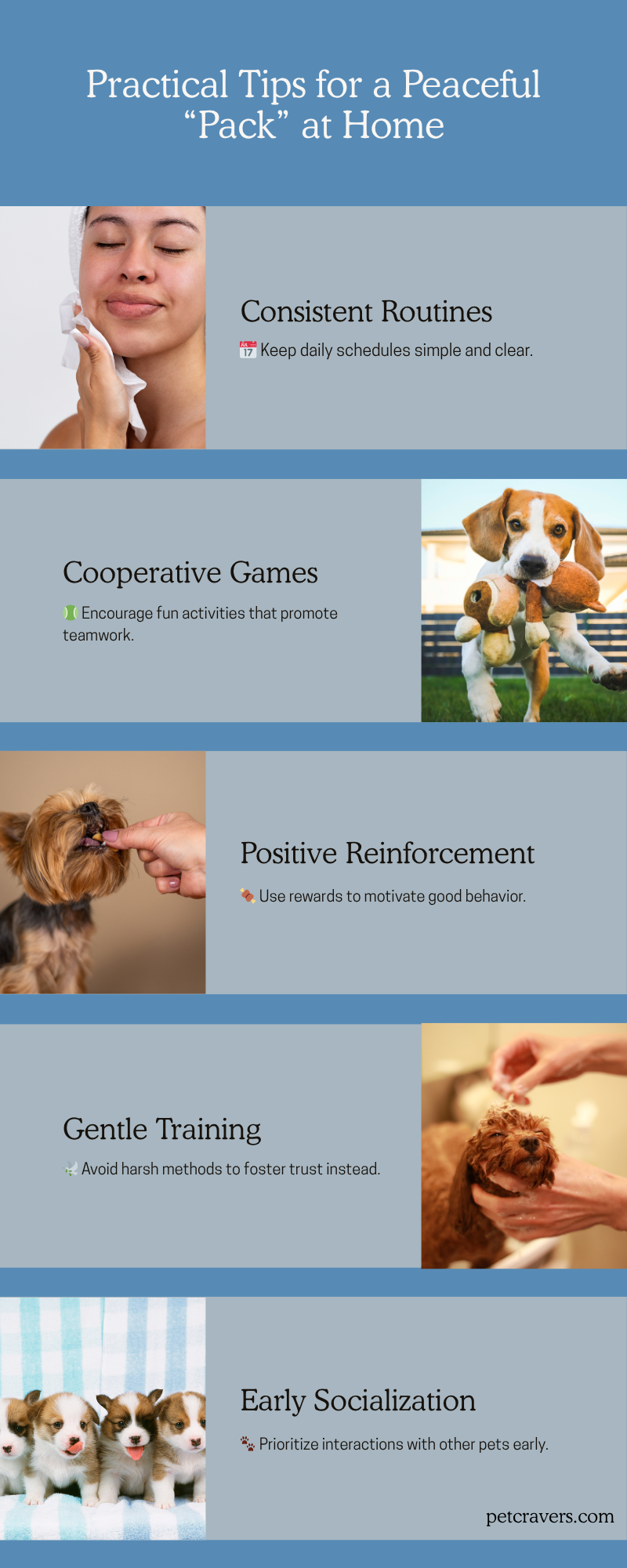 Practical Tips for a Peaceful “Pack” at Home