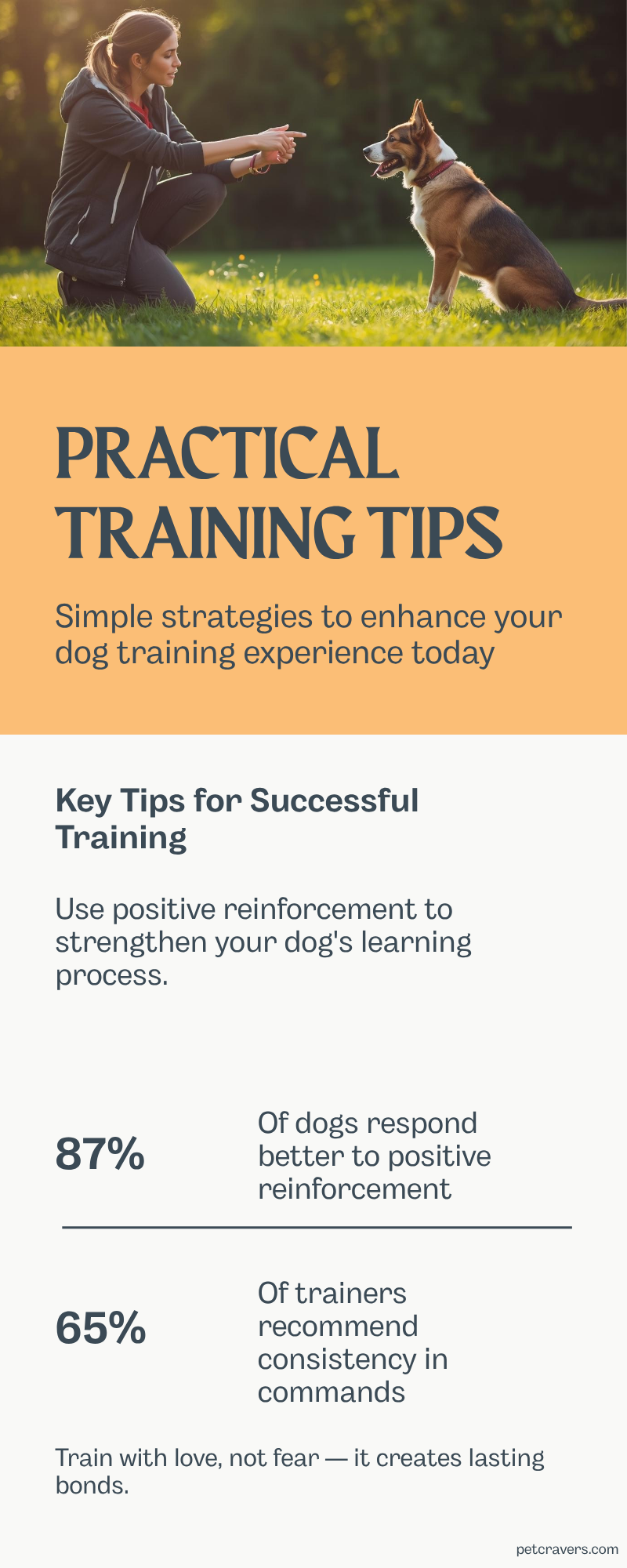 Practical Training Tips You Can Start Today