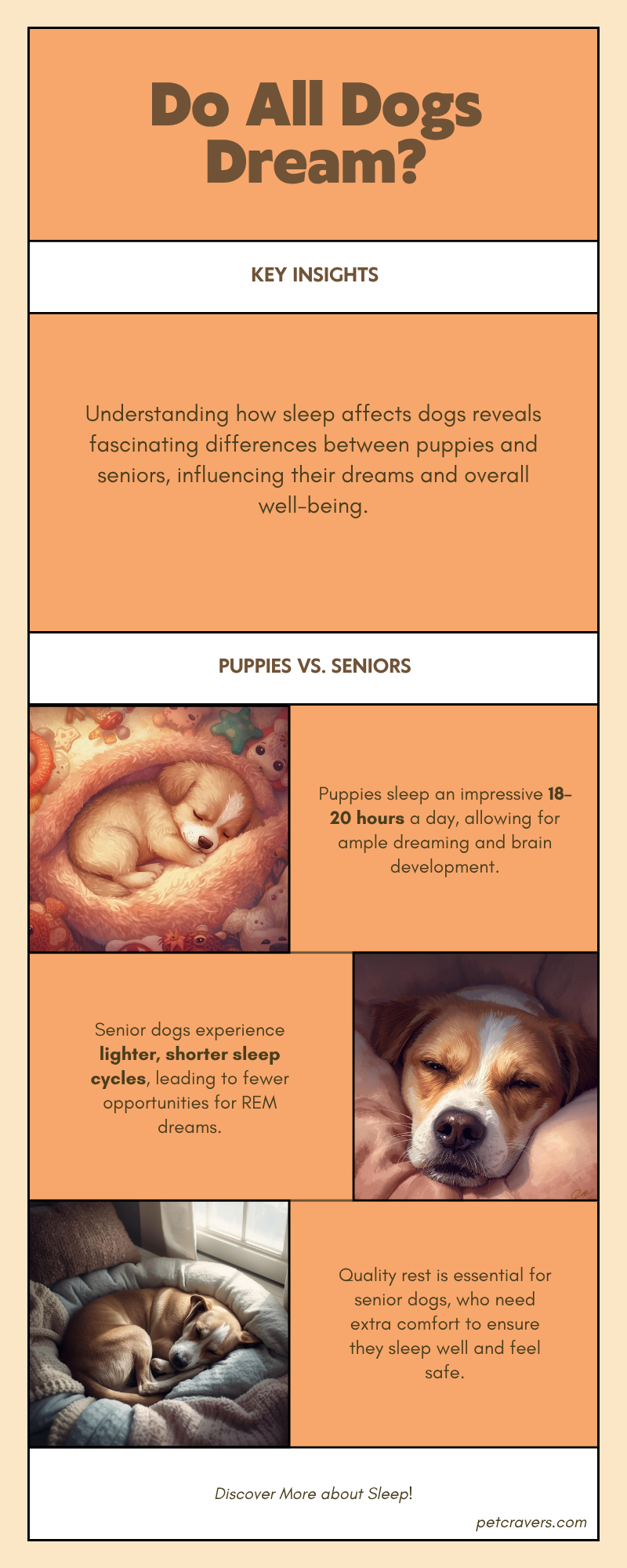 Puppies vs. Senior Dogs