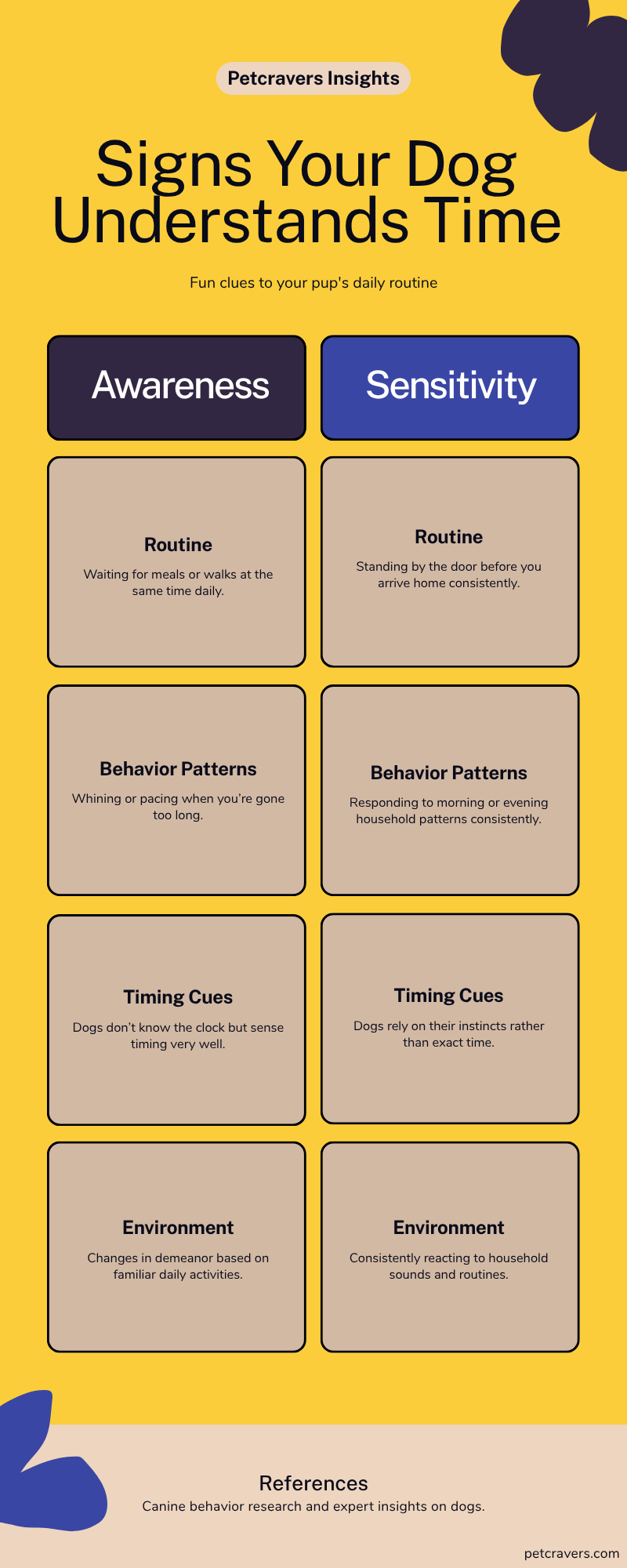 Signs Your Dog Understands Time