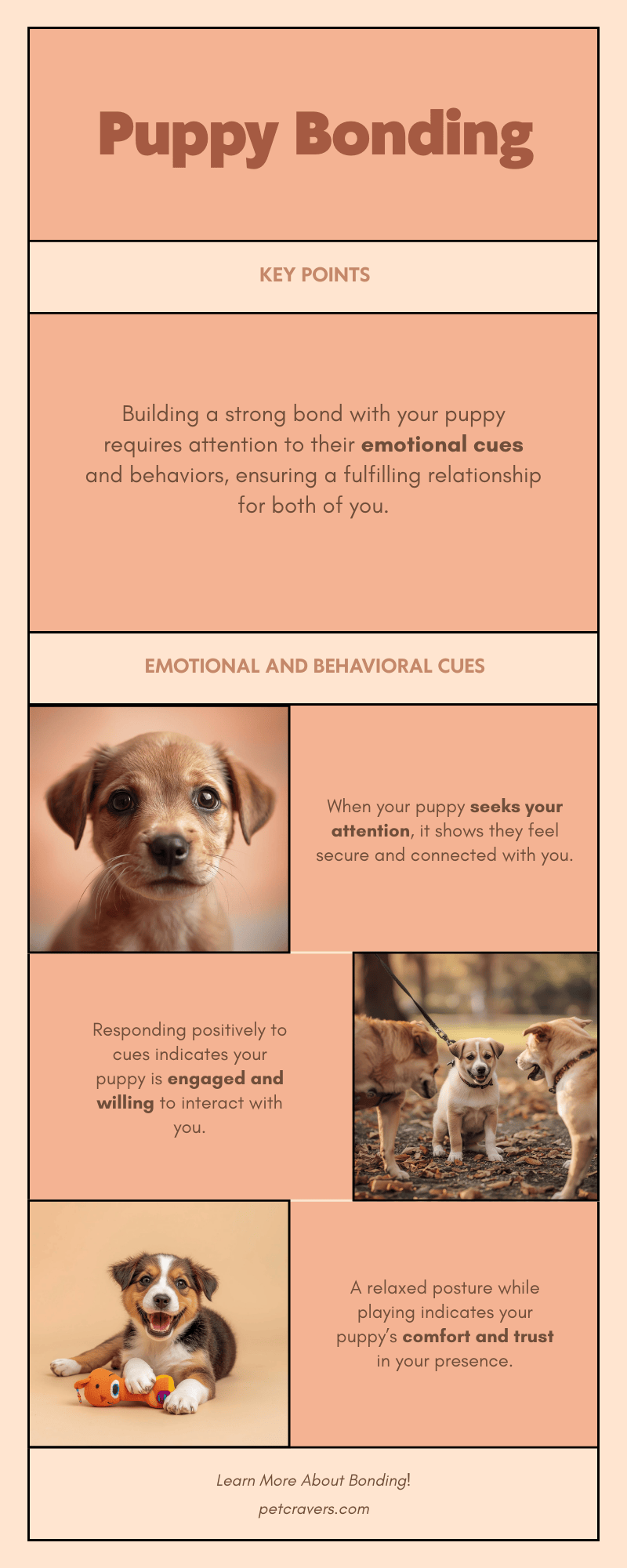 Signs Your Puppy Bond Is Growing Stronger