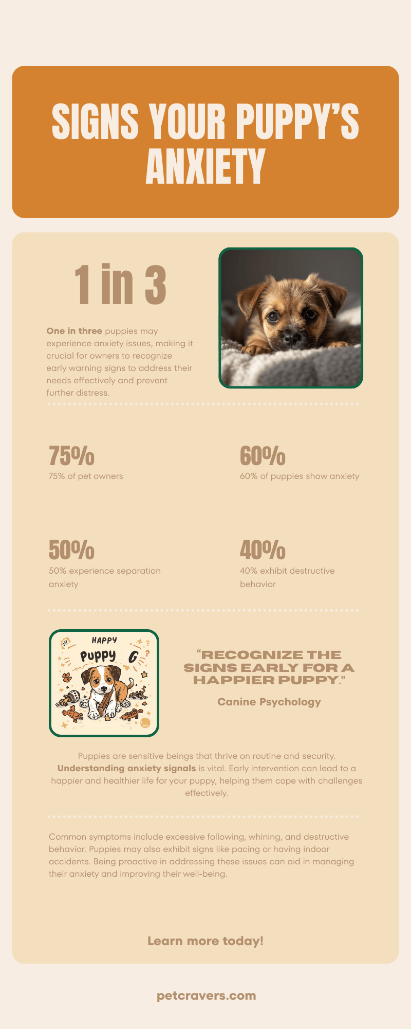 Signs Your Puppy May Be Developing Anxiety