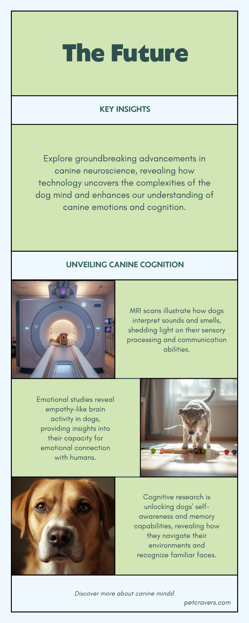 The Future of Dog Brain Research