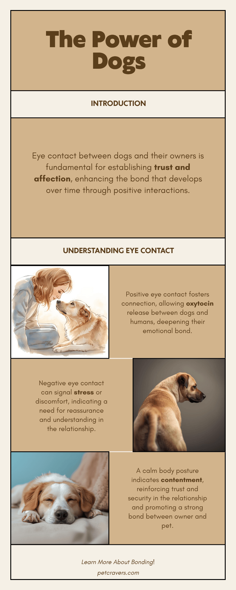 The Power of Dog Eye Contact
