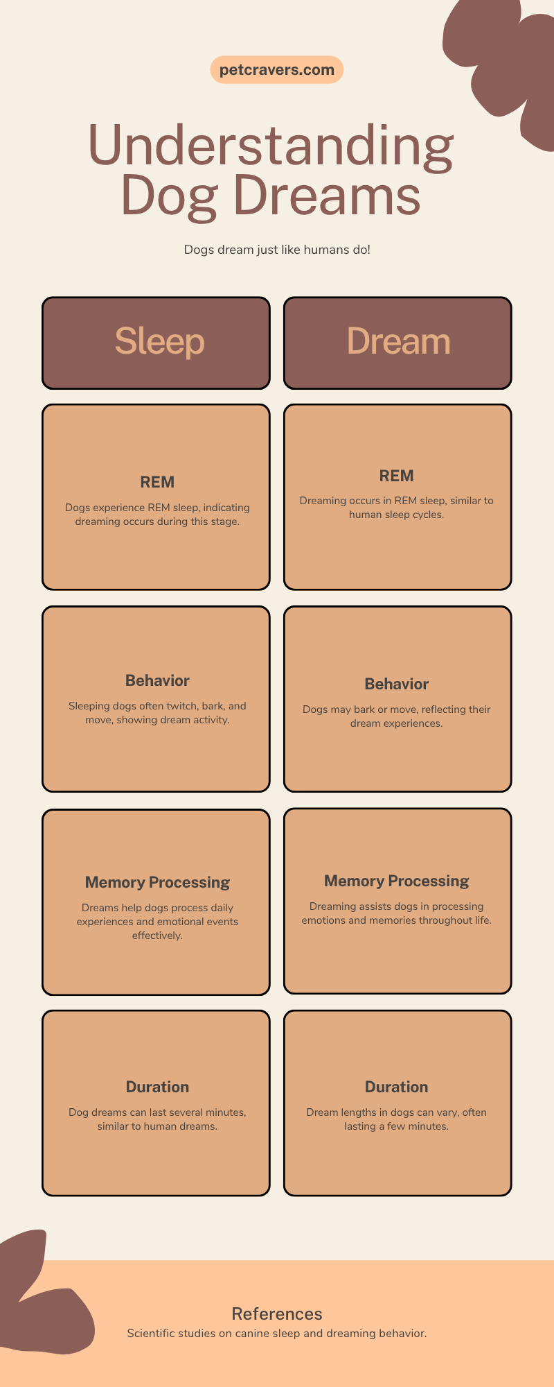 The Question That Melts Every Dog Owner’s Heart