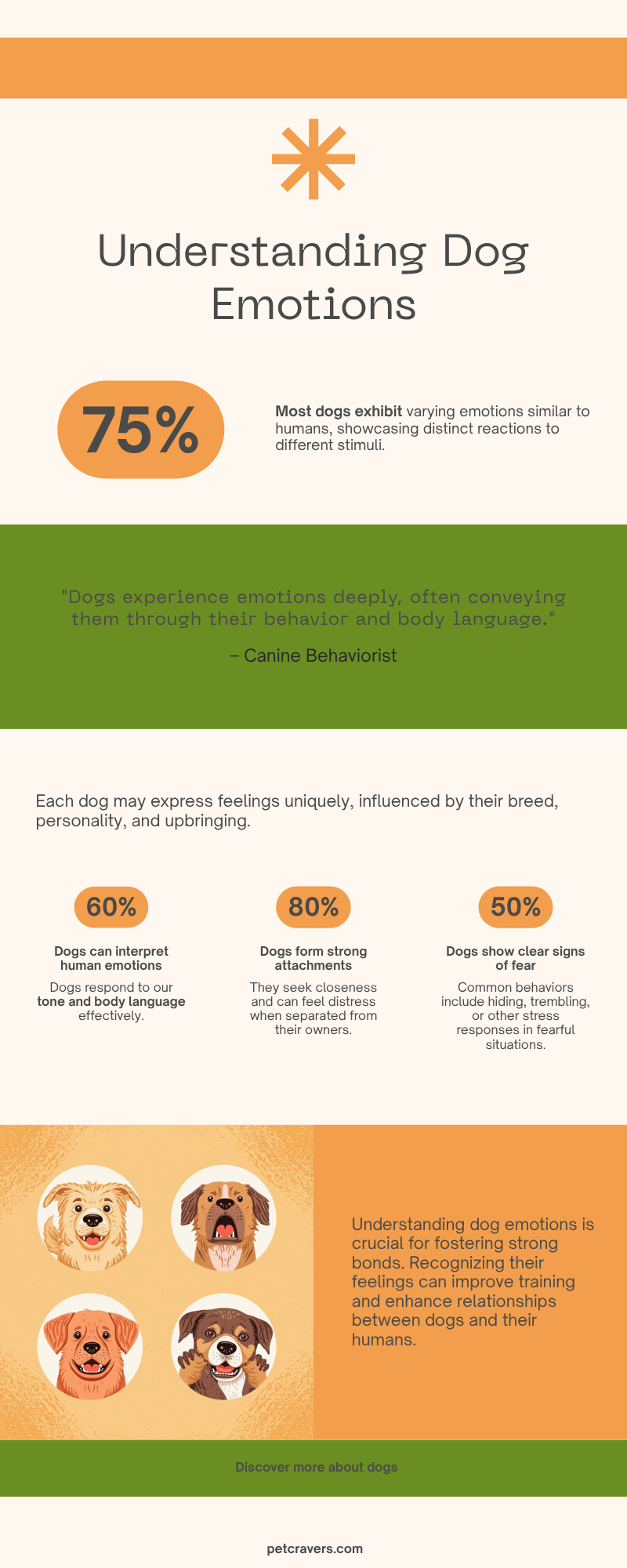 Understanding Dog Emotions