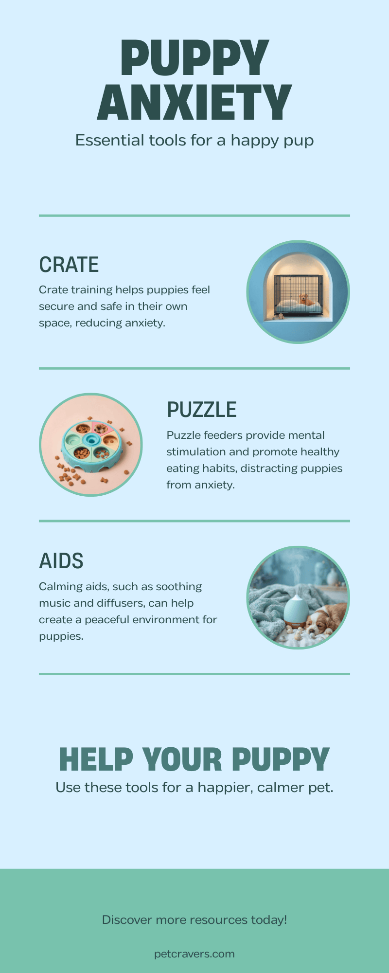 Useful Tools for Preventing Puppy Anxiety