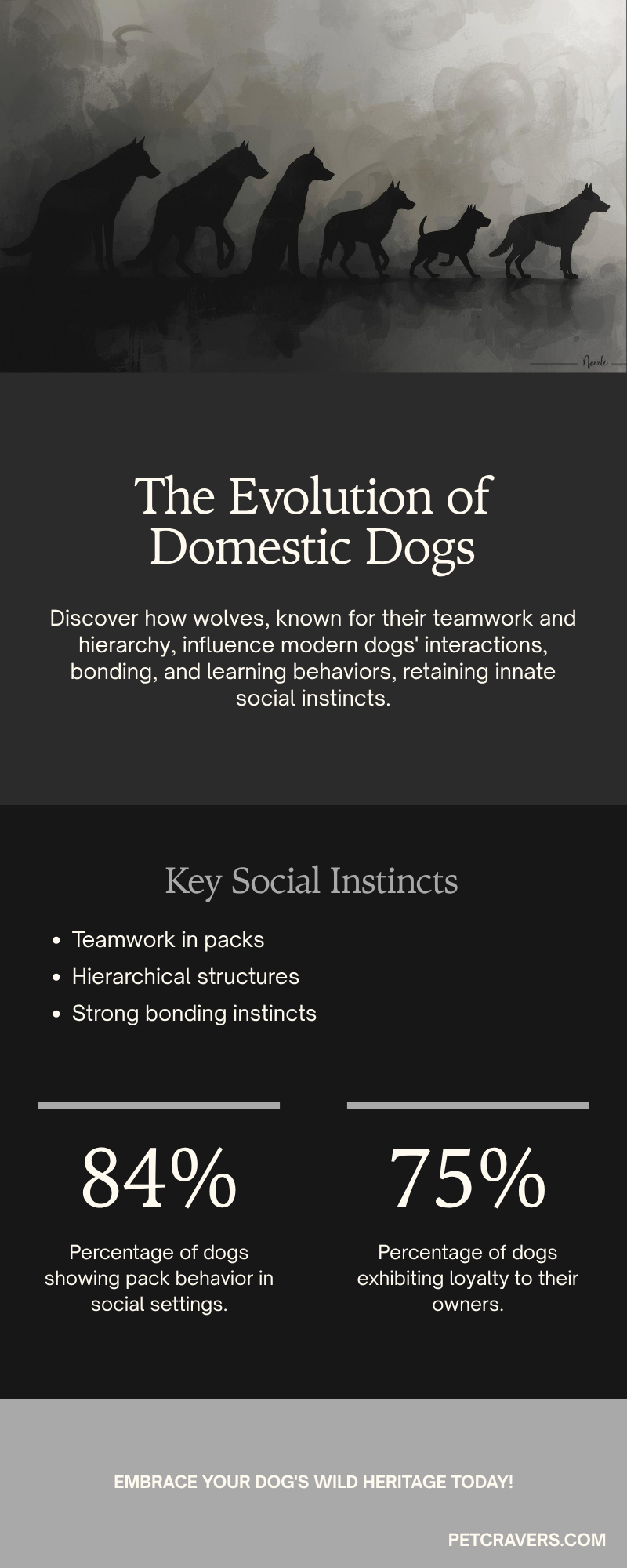 What Does “Pack Mentality” Mean for Dogs