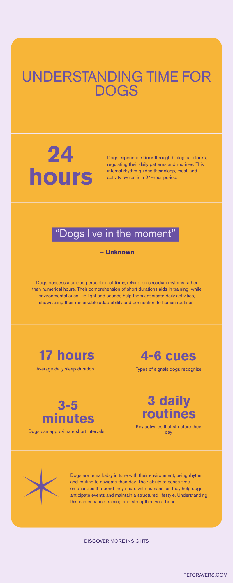 What Does “Time” Mean to a Dog