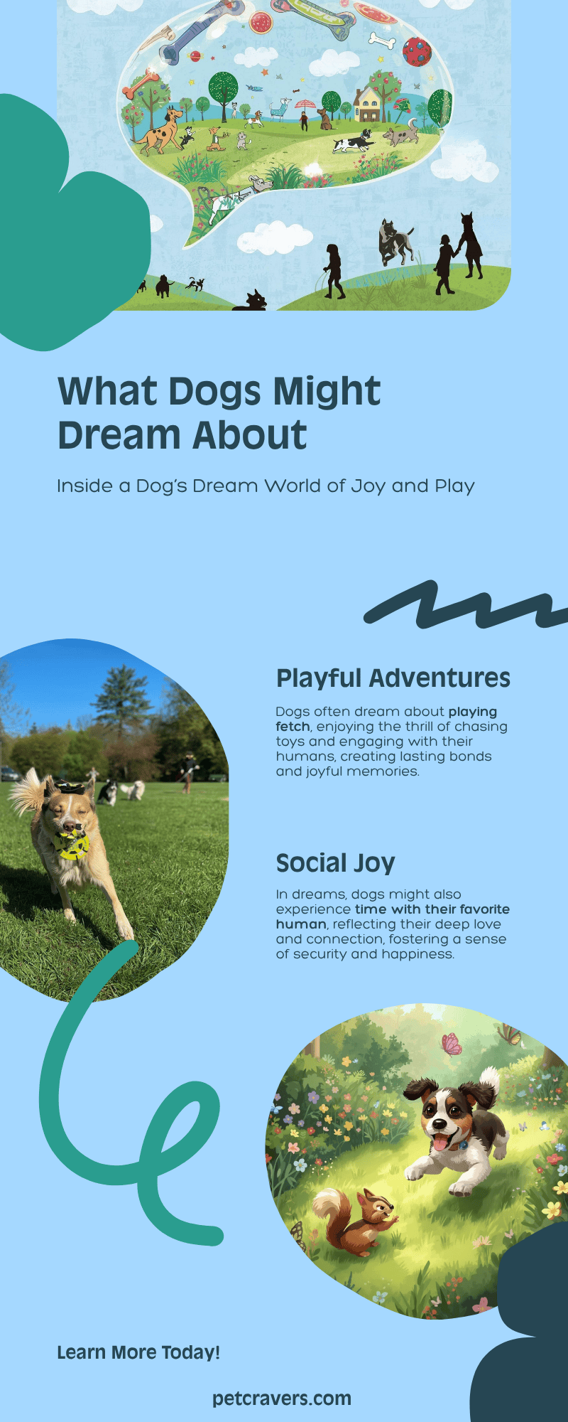 What Dogs Might Dream About