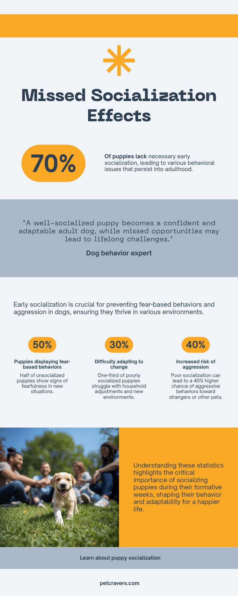 What Happens When Puppies Miss the Socialization Window