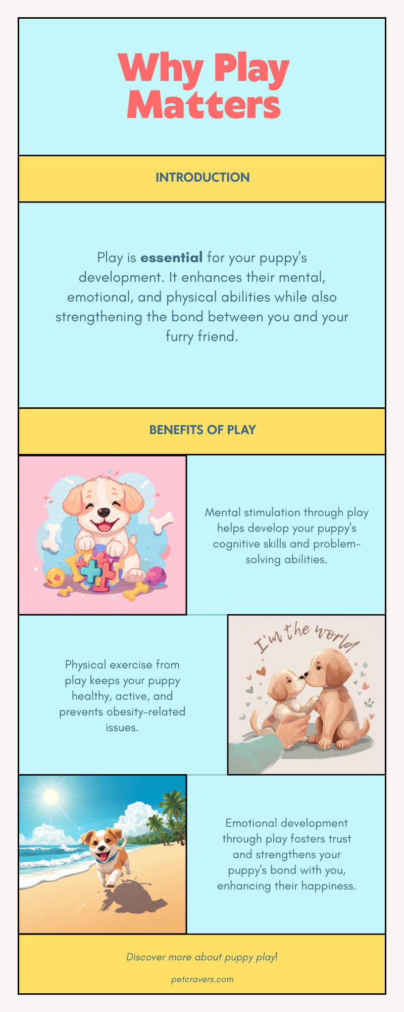 Why Play Matters for Puppies