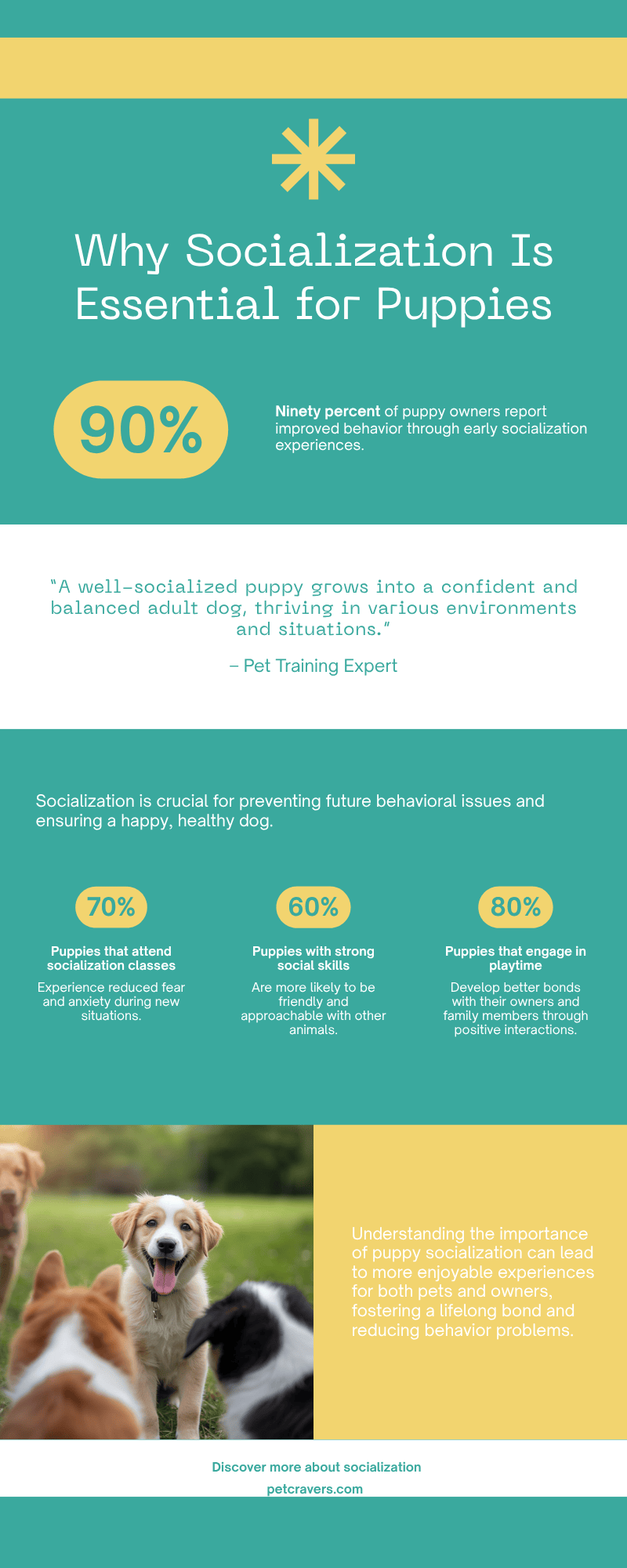 Why Socialization Is Essential for Puppies