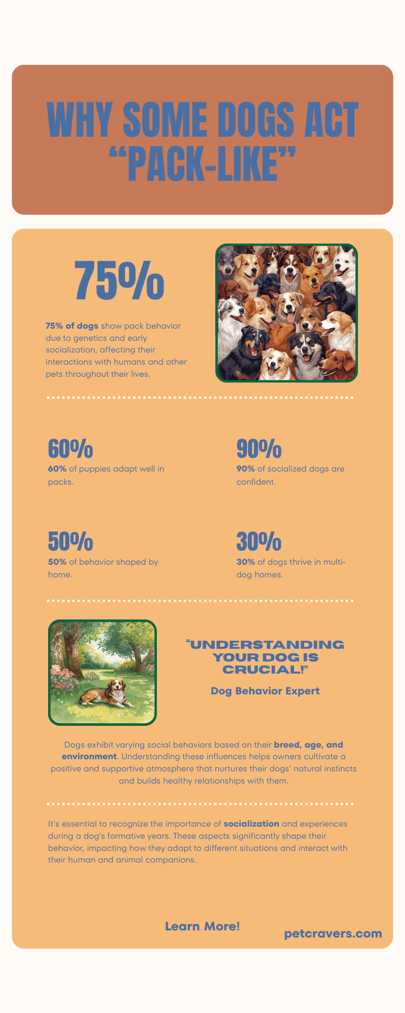 Why Some Dogs Act “More Pack-Like” Than Others