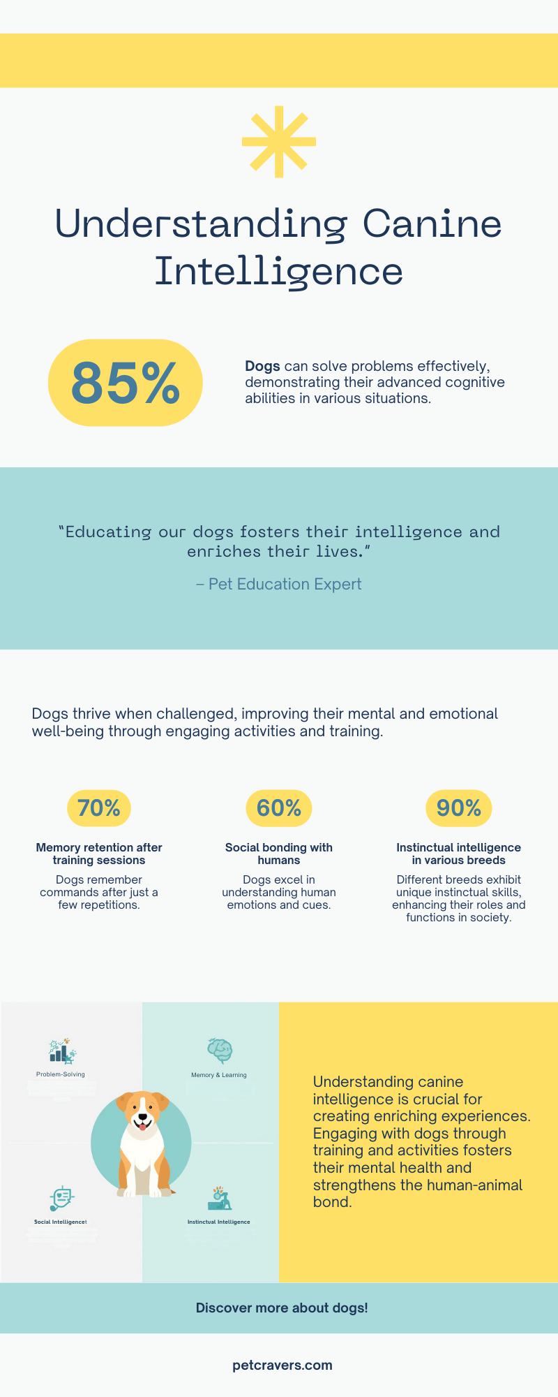 Understanding Your Dog’s Intelligence