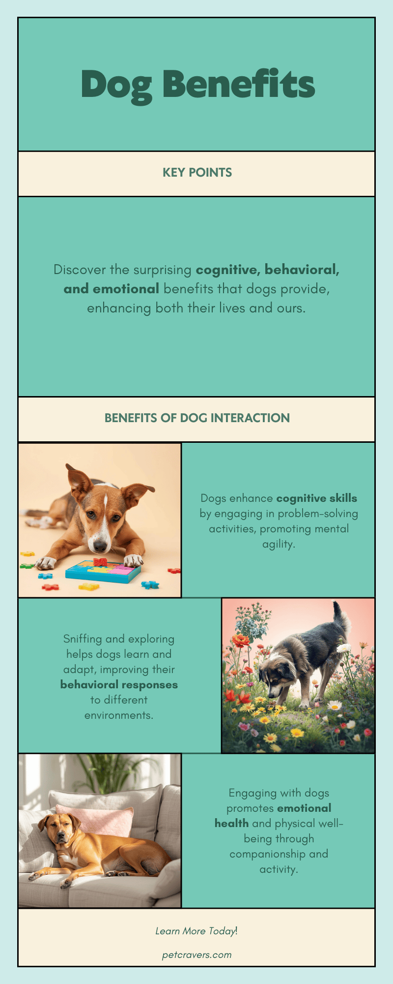 Why Brain Games Matter for Dogs