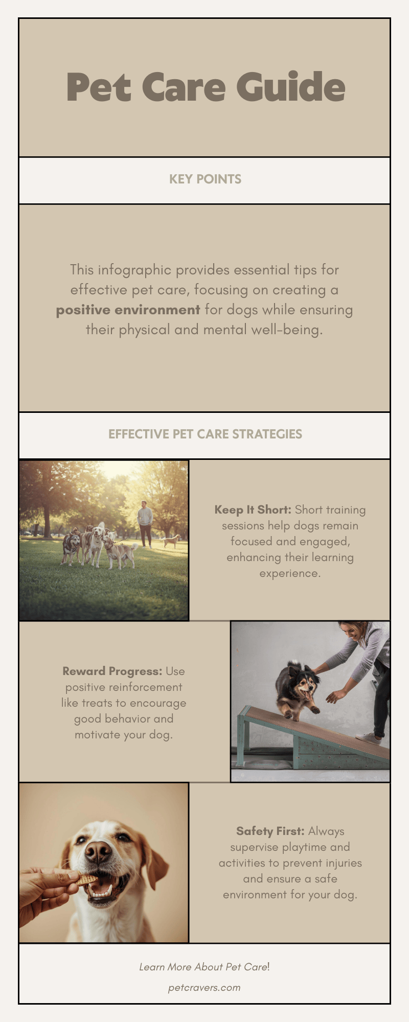 How to Play Brain Games Safely & Successfully