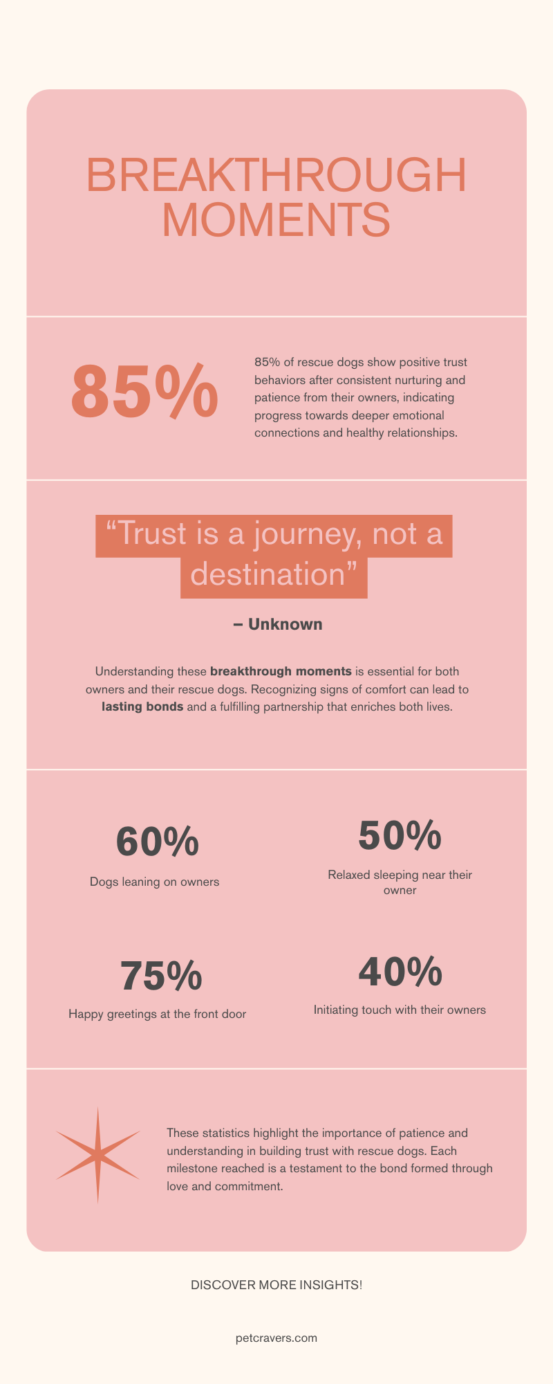 Breakthrough Moments When a Rescue Dog Finally Opens Up