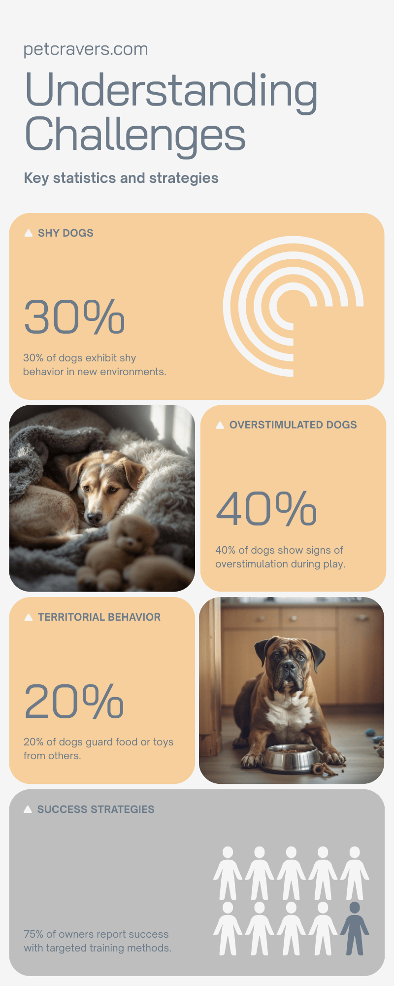 Common Challenges & How to Manage Them