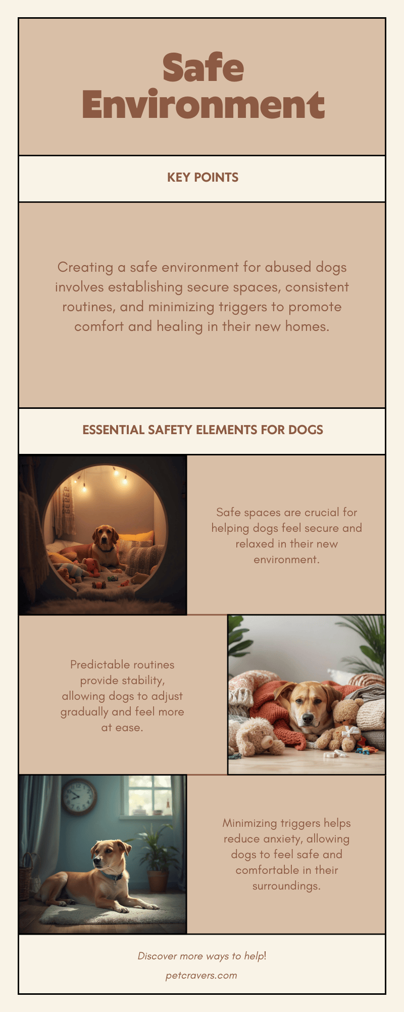 Creating a Safe Environment