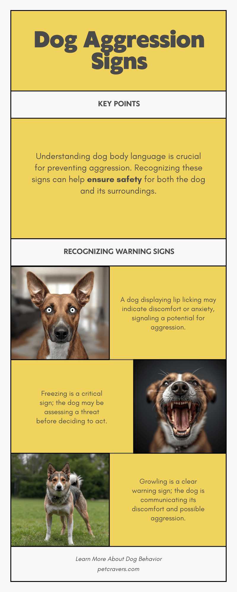 Dog Aggression Warning Signs