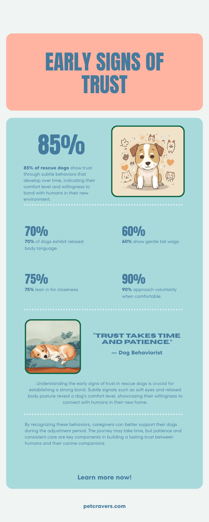 Early Signs of Trust in Rescue Dogs