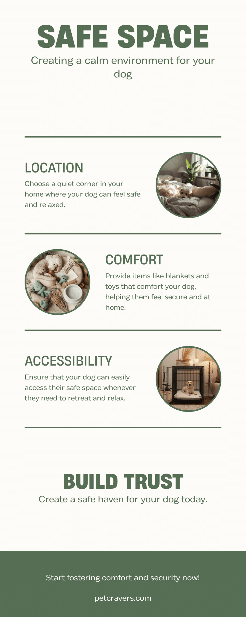 How to Create Safe Spaces for Traumatized Dogs: A Complete Guide for ...