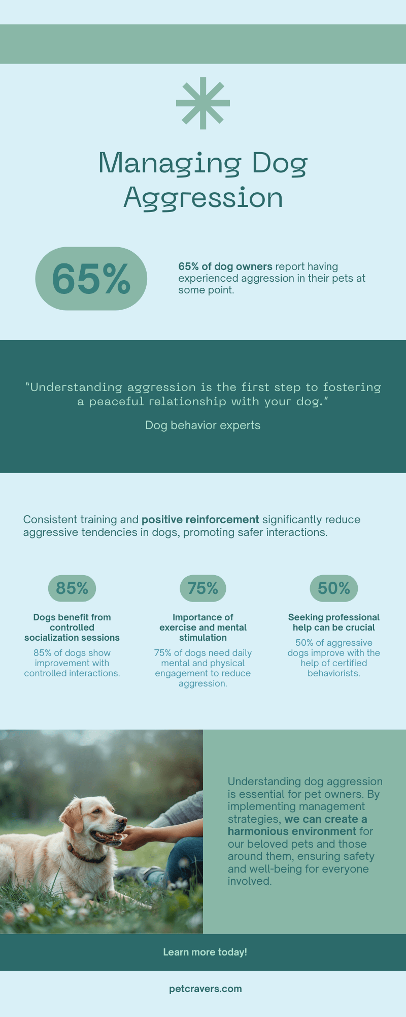 How to Manage & Prevent Dog Aggression