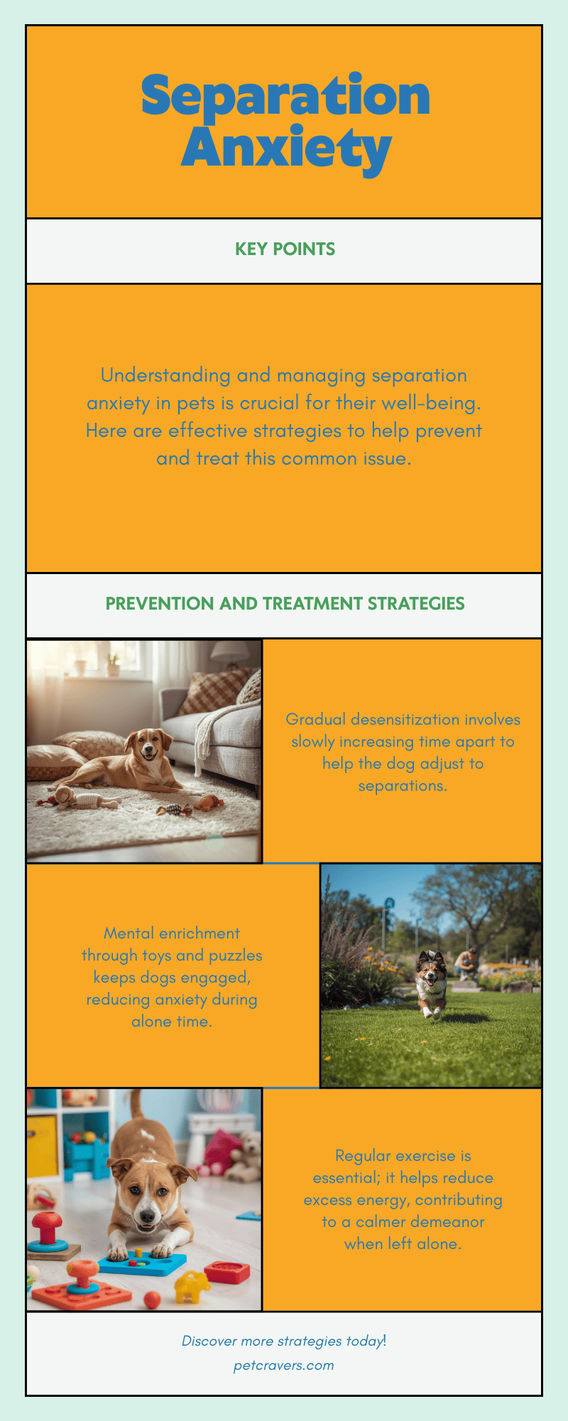 Understanding Separation Anxiety in Dogs: Causes, Signs & Effective ...