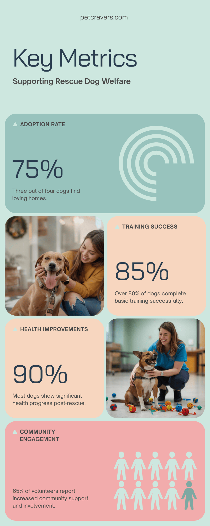 Key Elements of a Rescue Dog’s Daily Routine