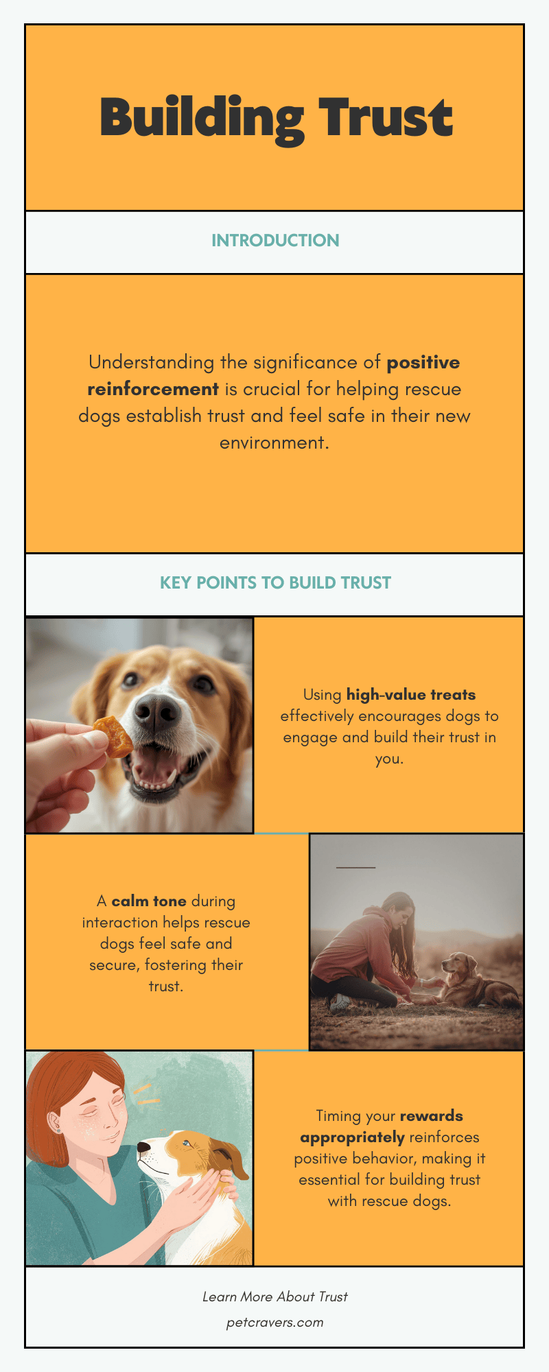 Positive Reinforcement That Builds Trust