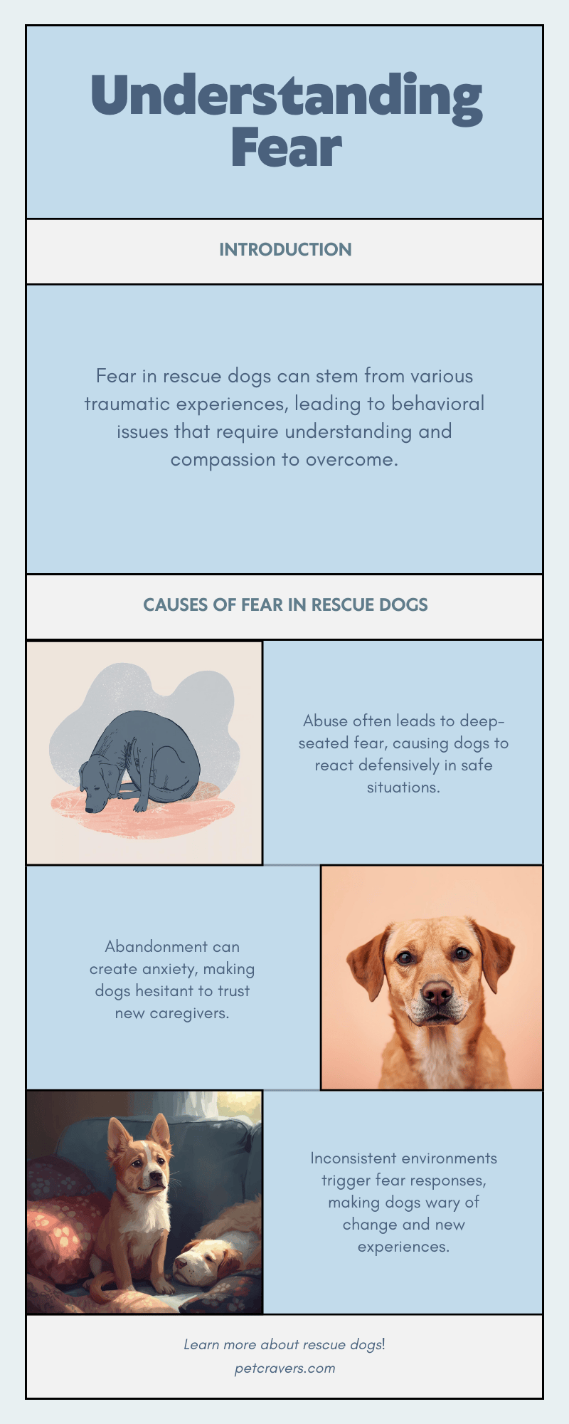 Understanding Fear in Rescue Dogs